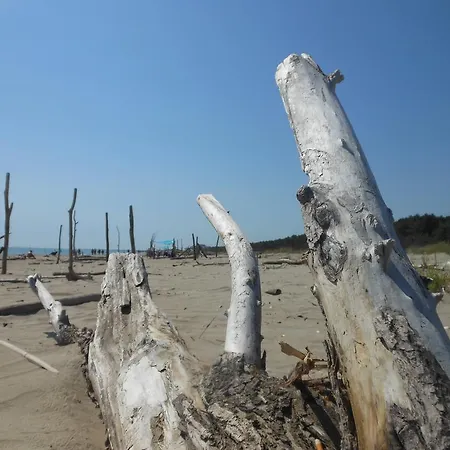 Gli Angeli Oda ve Kahvaltı Cervia